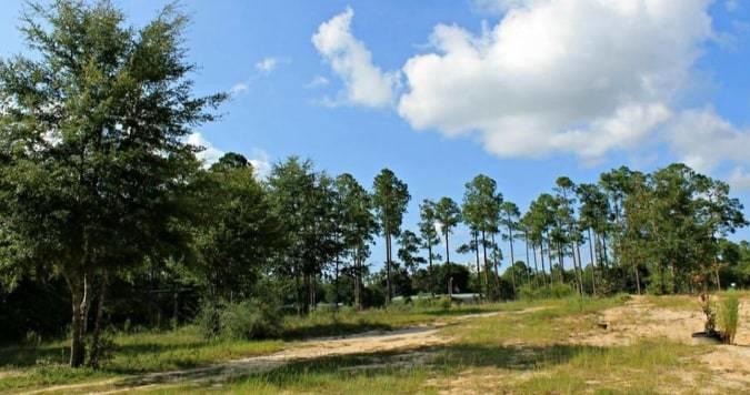 180 Huckaba Road DeFuniak Springs, FL 32435 - Photo 7 of 8 Gallery Image 7