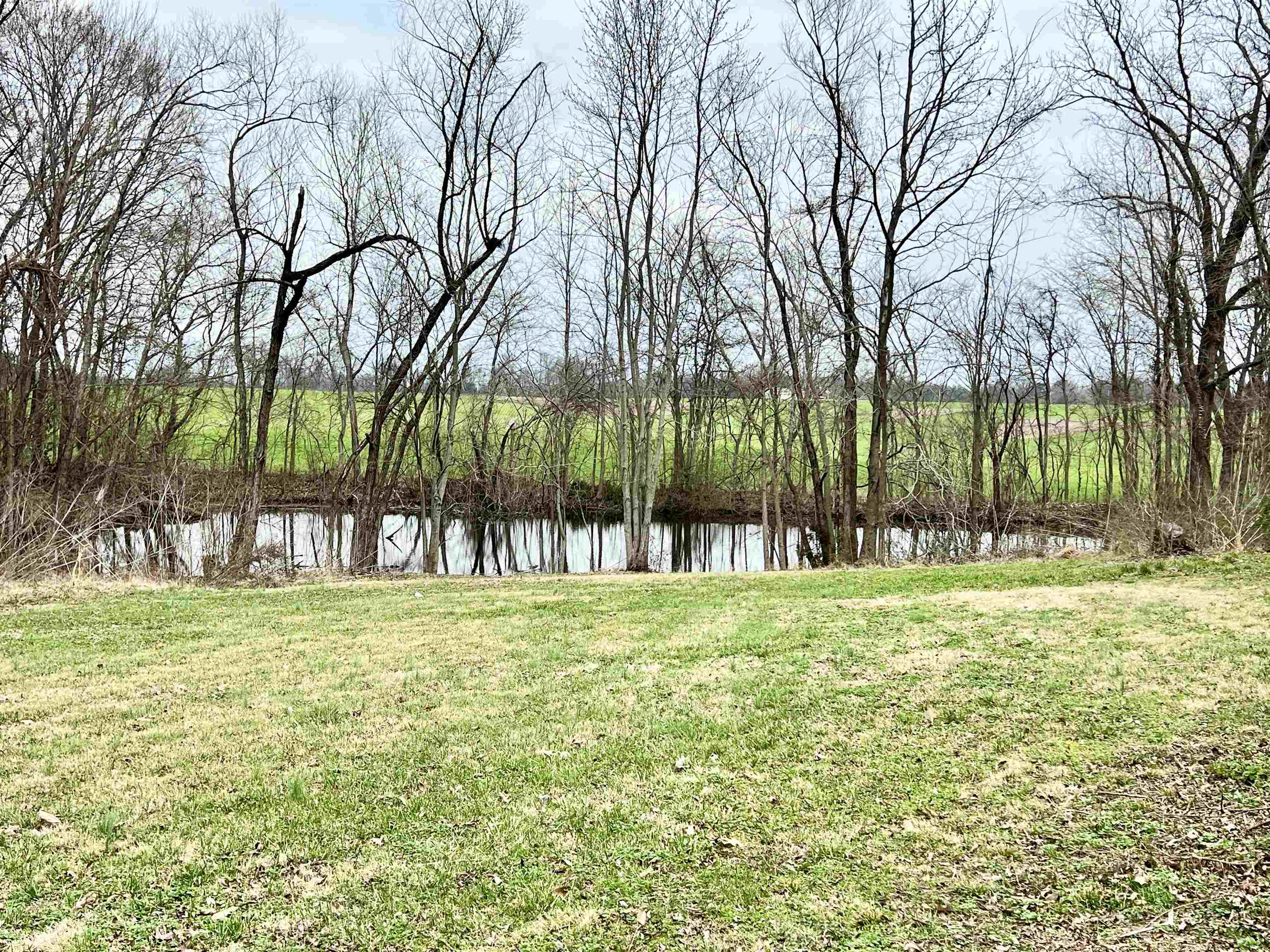 426 Deen Road Brighton, TN 38011 - Photo 3 of 14 Gallery Image 3