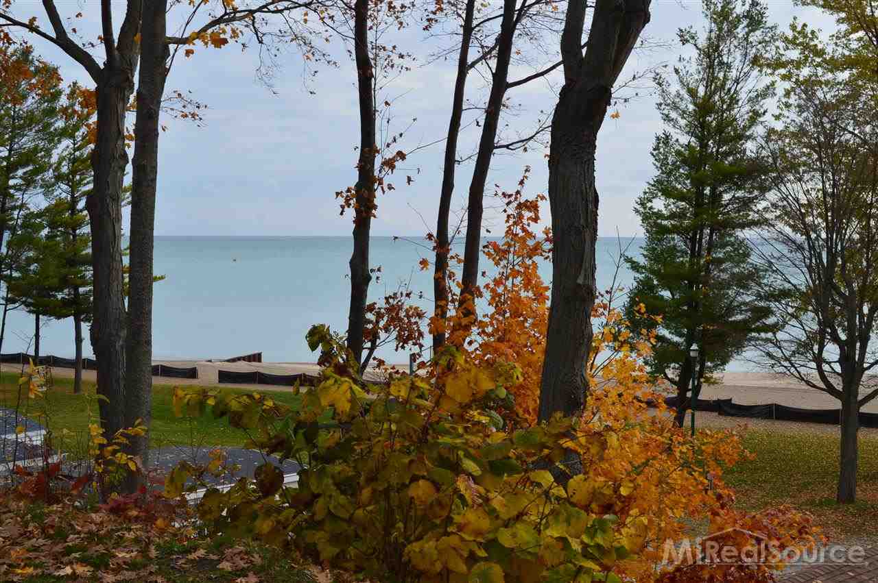 6103 Lakeshore Road, Unit 52 Lexington, MI 48450 - Photo 9 of 22 31219007-8.JPG
