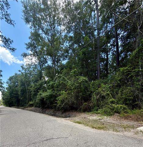 0 North Harrison Road Slidell, LA 70460 - Photo 1 of 2