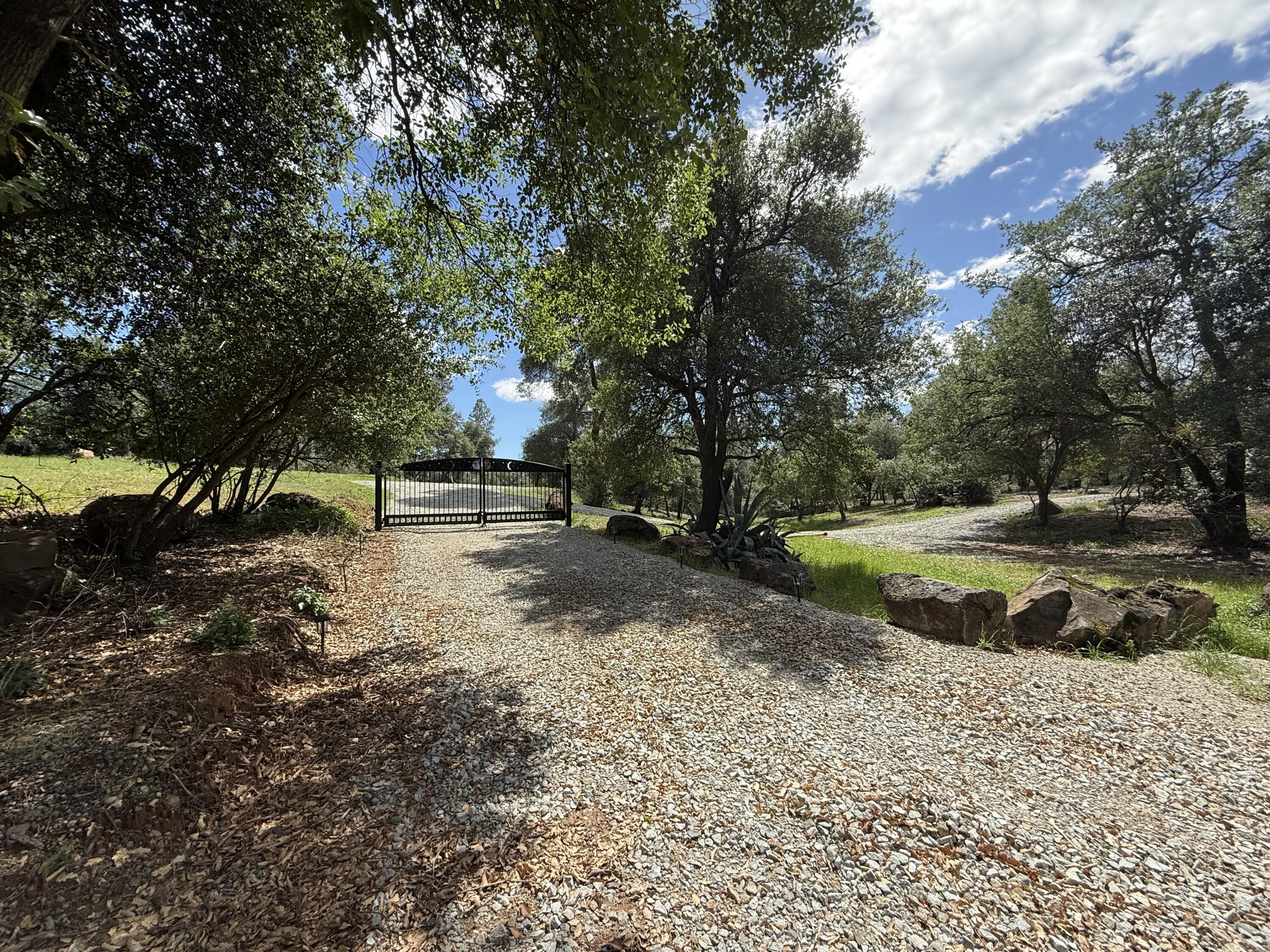 12333 Quartz Hill Road Redding, CA 96003 - Photo 3 of 21 a view of a park with large trees