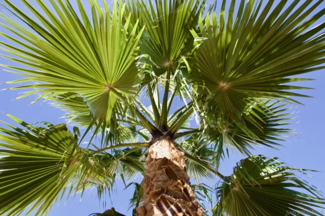 a view of a city with mountains in the background