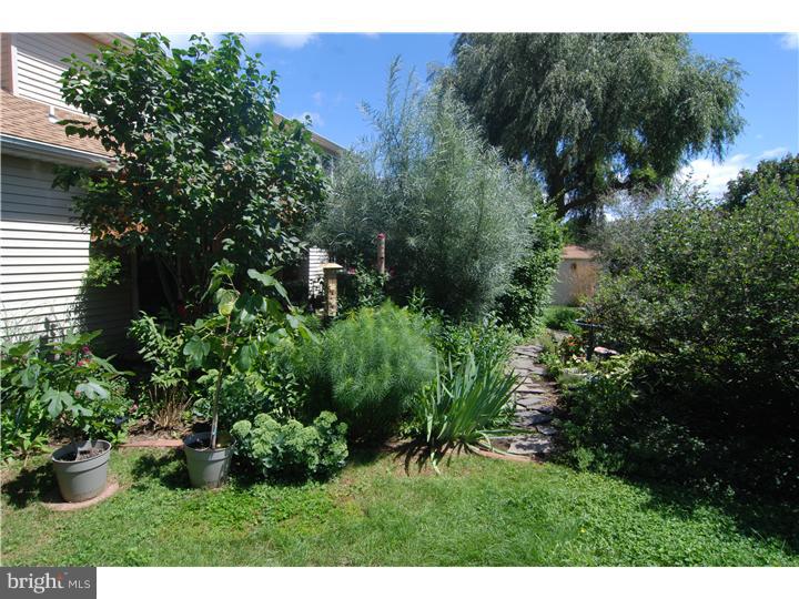 116 Sage Drive Sinking Spring, PA 19608 - Photo 20 of 22 Back Yard