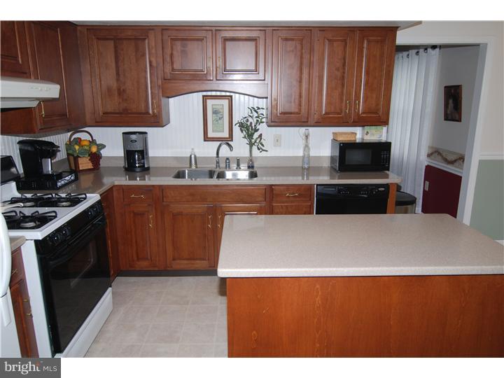 116 Sage Drive Sinking Spring, PA 19608 - Photo 6 of 22 Kitchen