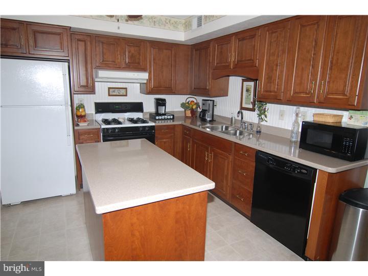 116 Sage Drive Sinking Spring, PA 19608 - Photo 7 of 22 Kitchen