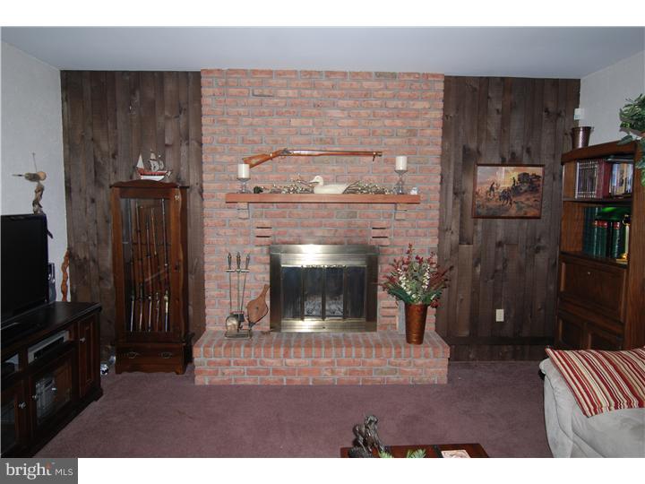 116 Sage Drive Sinking Spring, PA 19608 - Photo 10 of 22 Fireplace