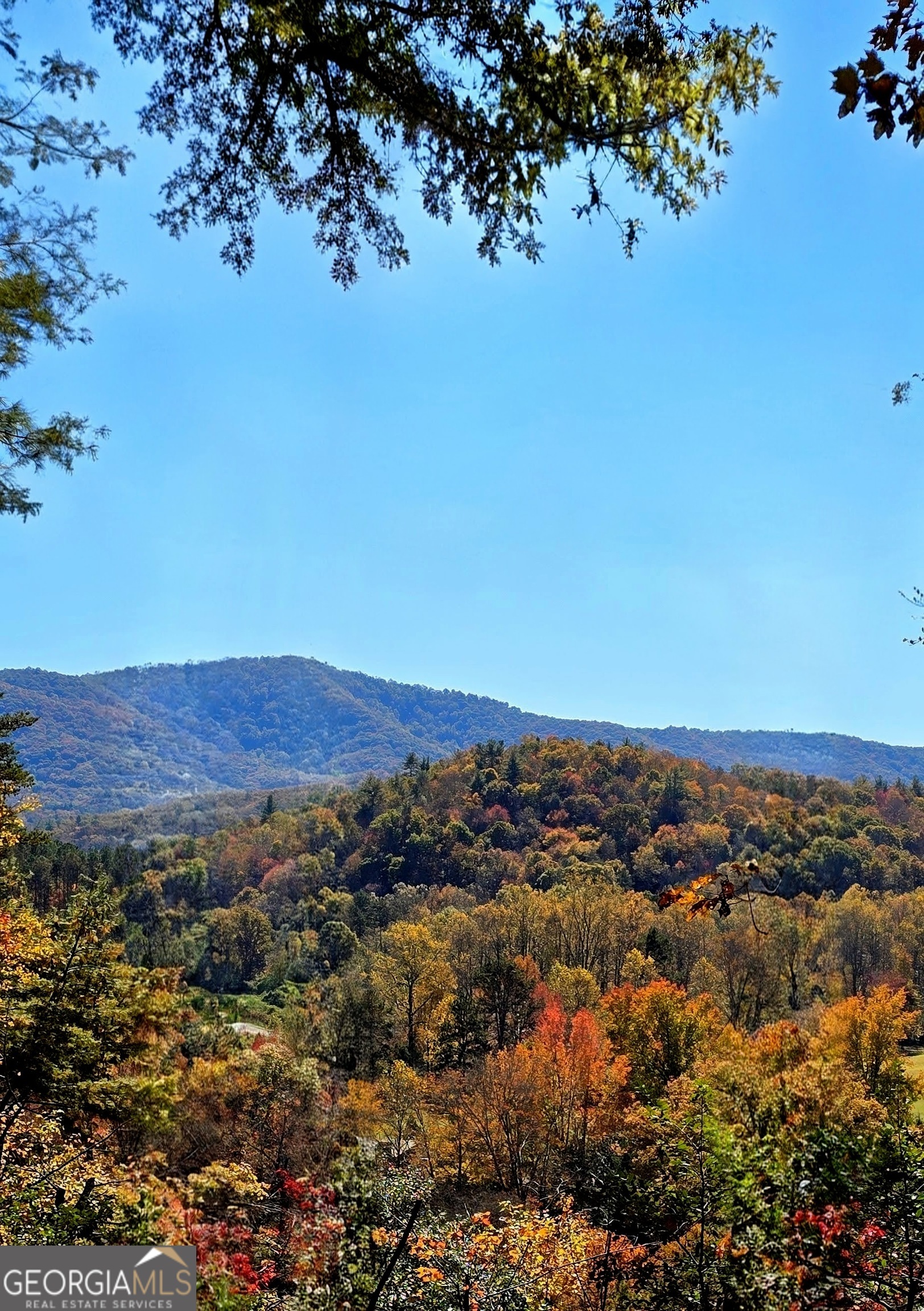 Lot 4 Gold Ridge Trail Cherry Log, GA 30522 - Photo 13 of 16