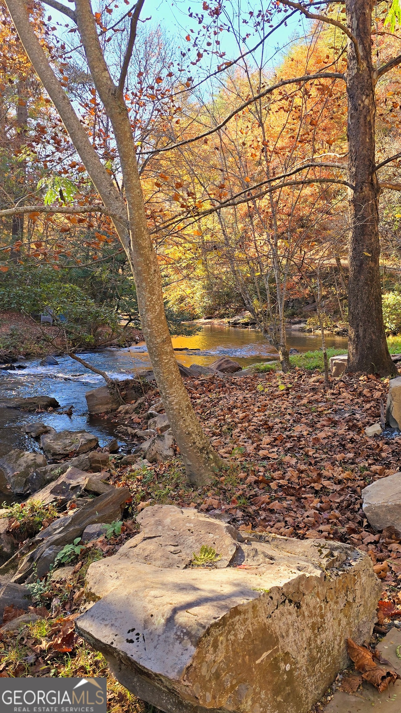 Lot 4 Gold Ridge Trail Cherry Log, GA 30522 - Photo 14 of 16