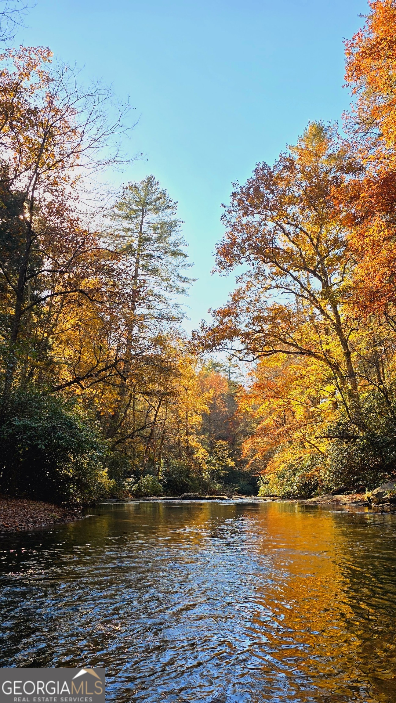 Lot 4 Gold Ridge Trail Cherry Log, GA 30522 - Photo 15 of 16