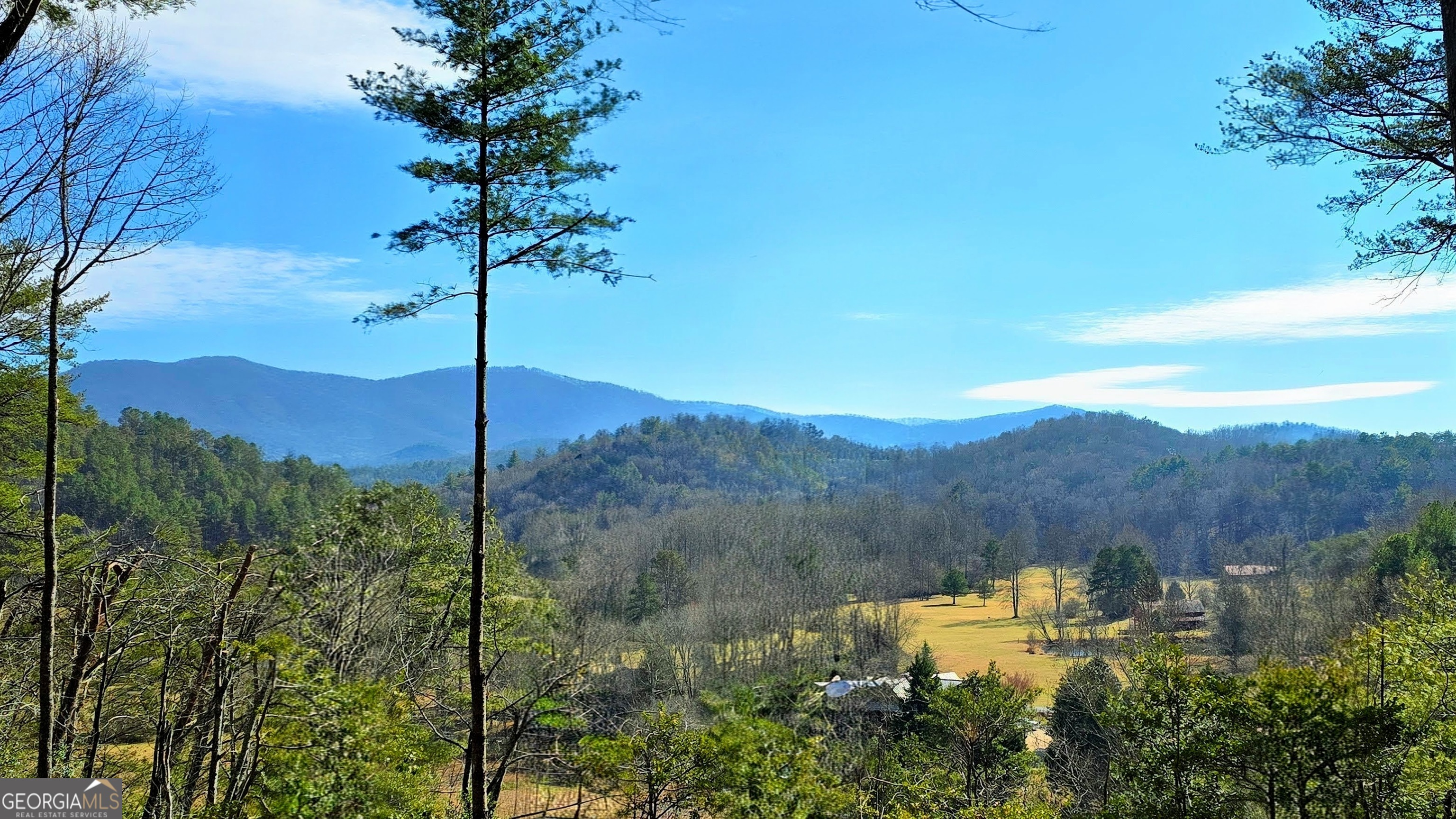 Lot 4 Gold Ridge Trail Cherry Log, GA 30522 - Photo 16 of 16