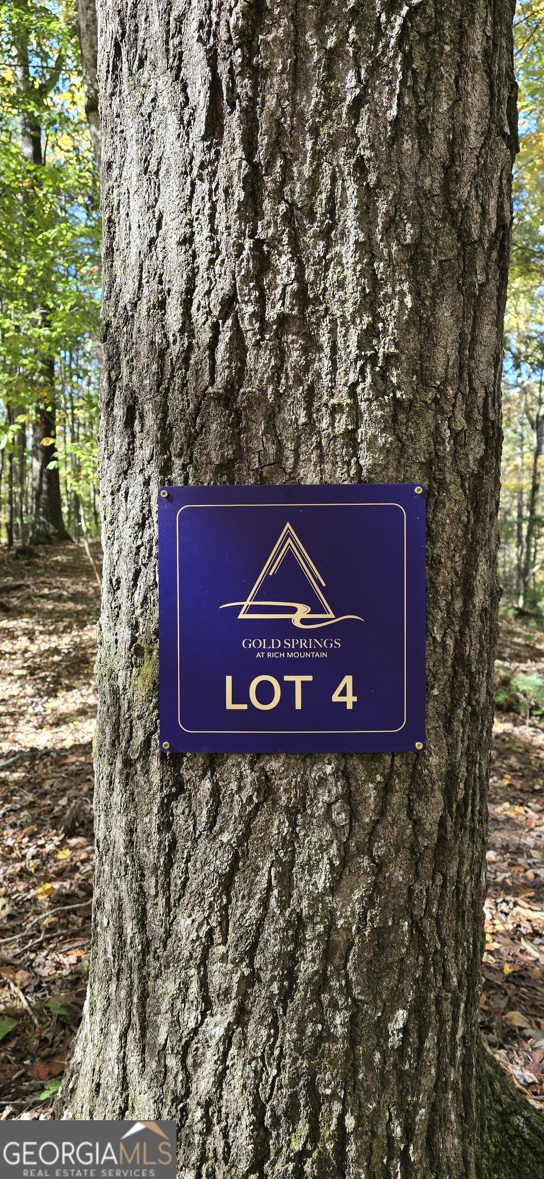 Lot 4 Gold Ridge Trail Cherry Log, GA 30522 - Photo 2 of 16