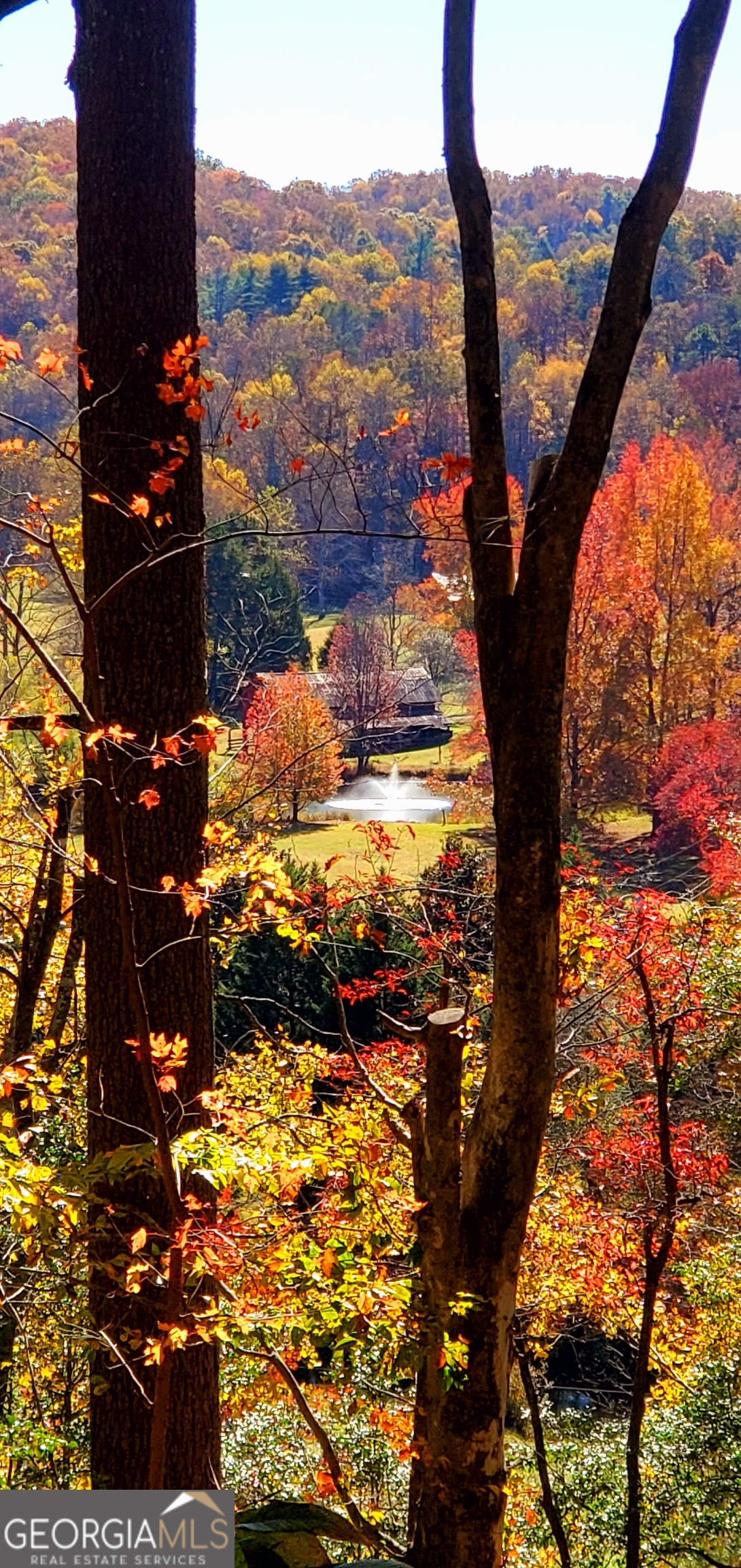 Lot 4 Gold Ridge Trail Cherry Log, GA 30522 - Photo 10 of 16