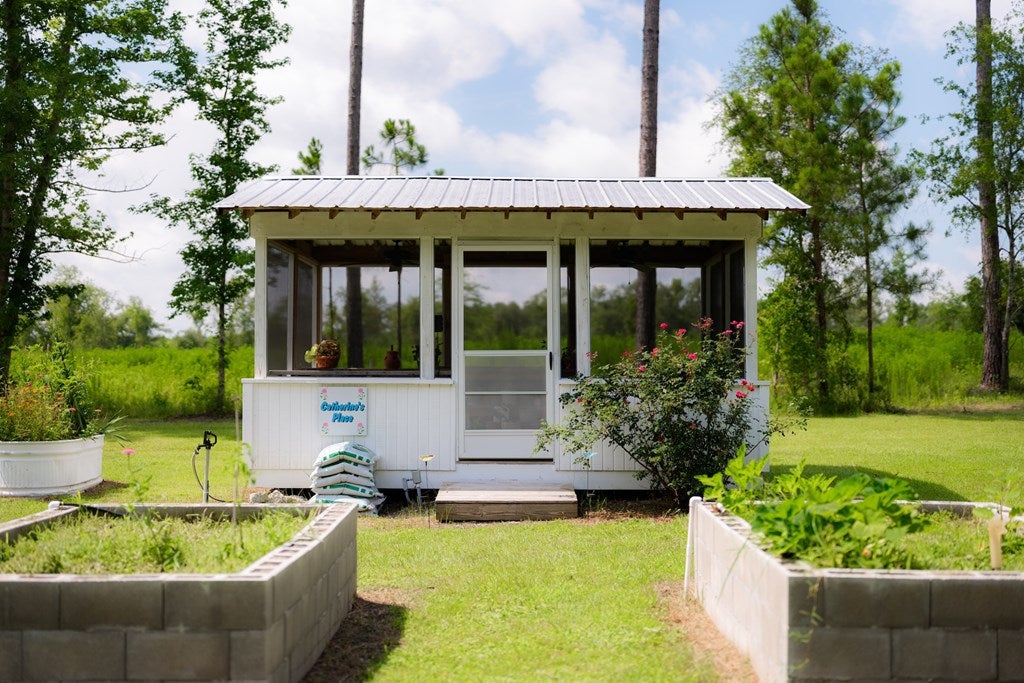 1232 Back Swindle Road Ray City, GA 31645 - Photo 37 of 50 Gallery Image 37