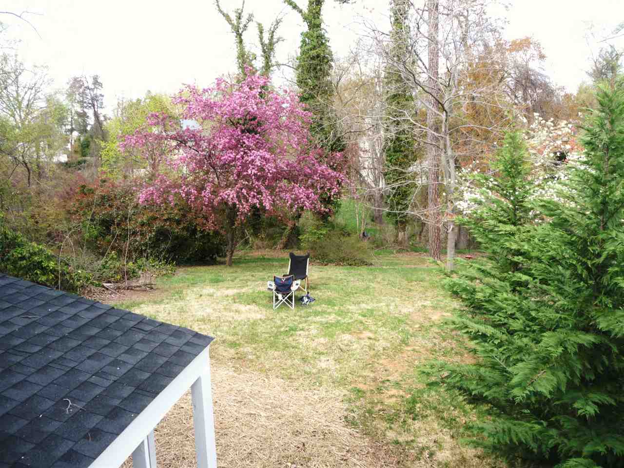 106 Minor Road Charlottesville, VA 22903 - Photo 5 of 9 a backyard of a house with lots of green space
