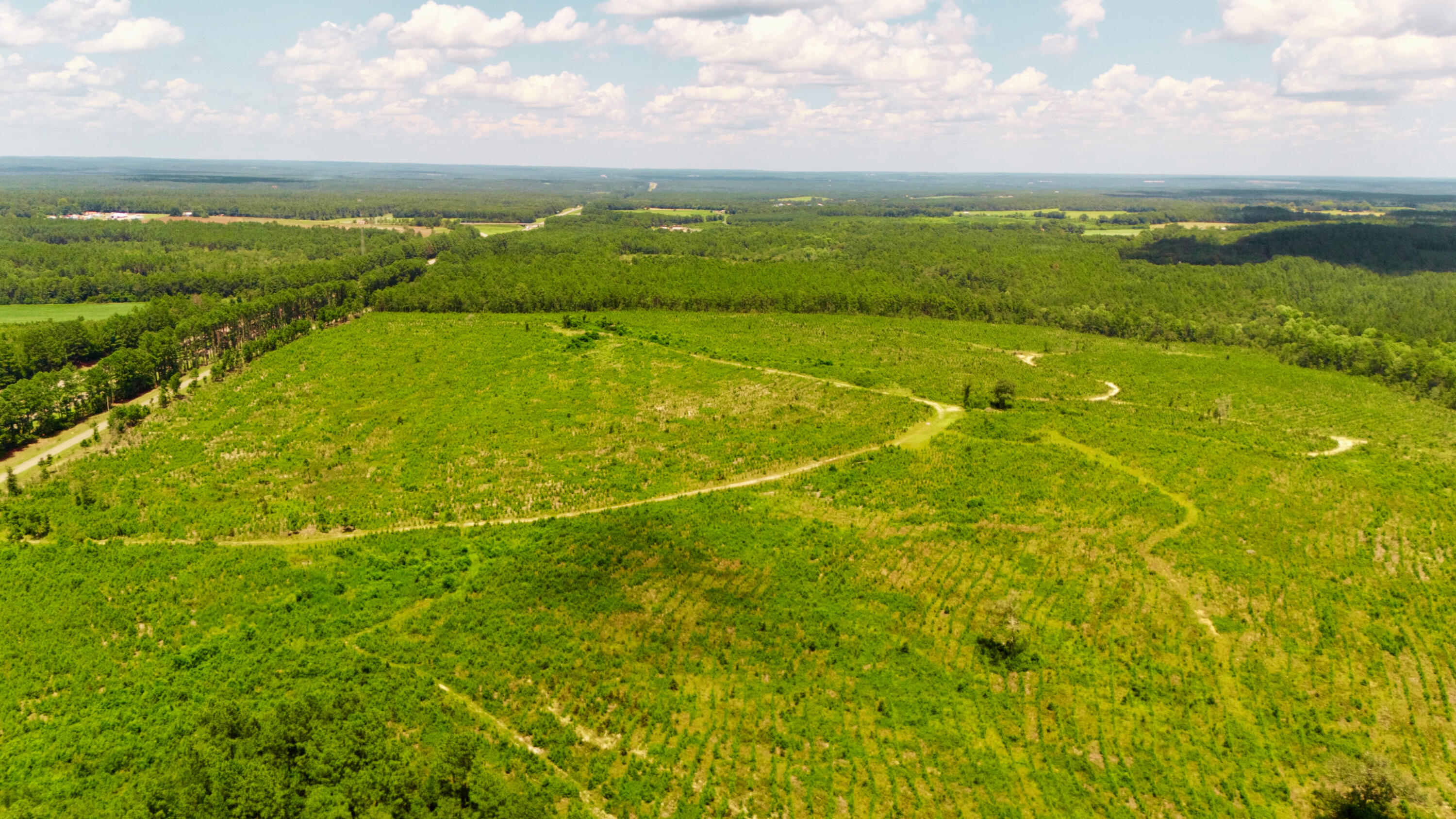 Lot 2 Notch Road Ridge Spring, SC 29129 - Photo 7 of 14