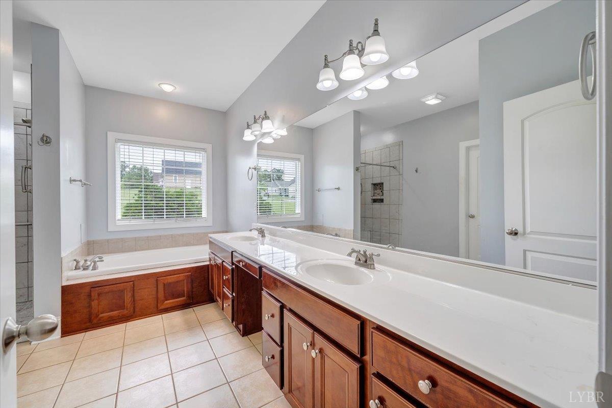 1250 Our Cove Road Huddleston, VA 24104 - Photo 23 of 70 a spacious bathroom with a sink a large mirror and a bathtub with shower