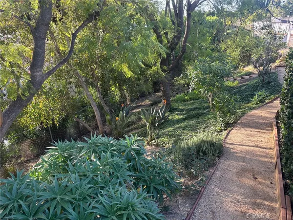a view of a yard with plants and large trees