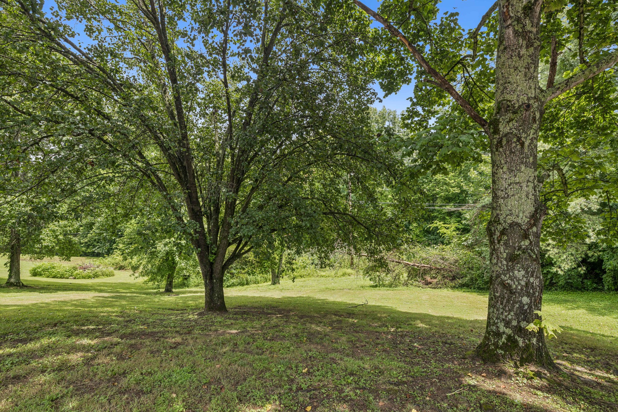 1108 Blue Springs Road Franklin, TN 37069 - Photo 75 of 86 Gallery Image 75