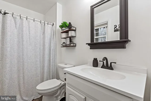 a bathroom with a sink a toilet and a mirror