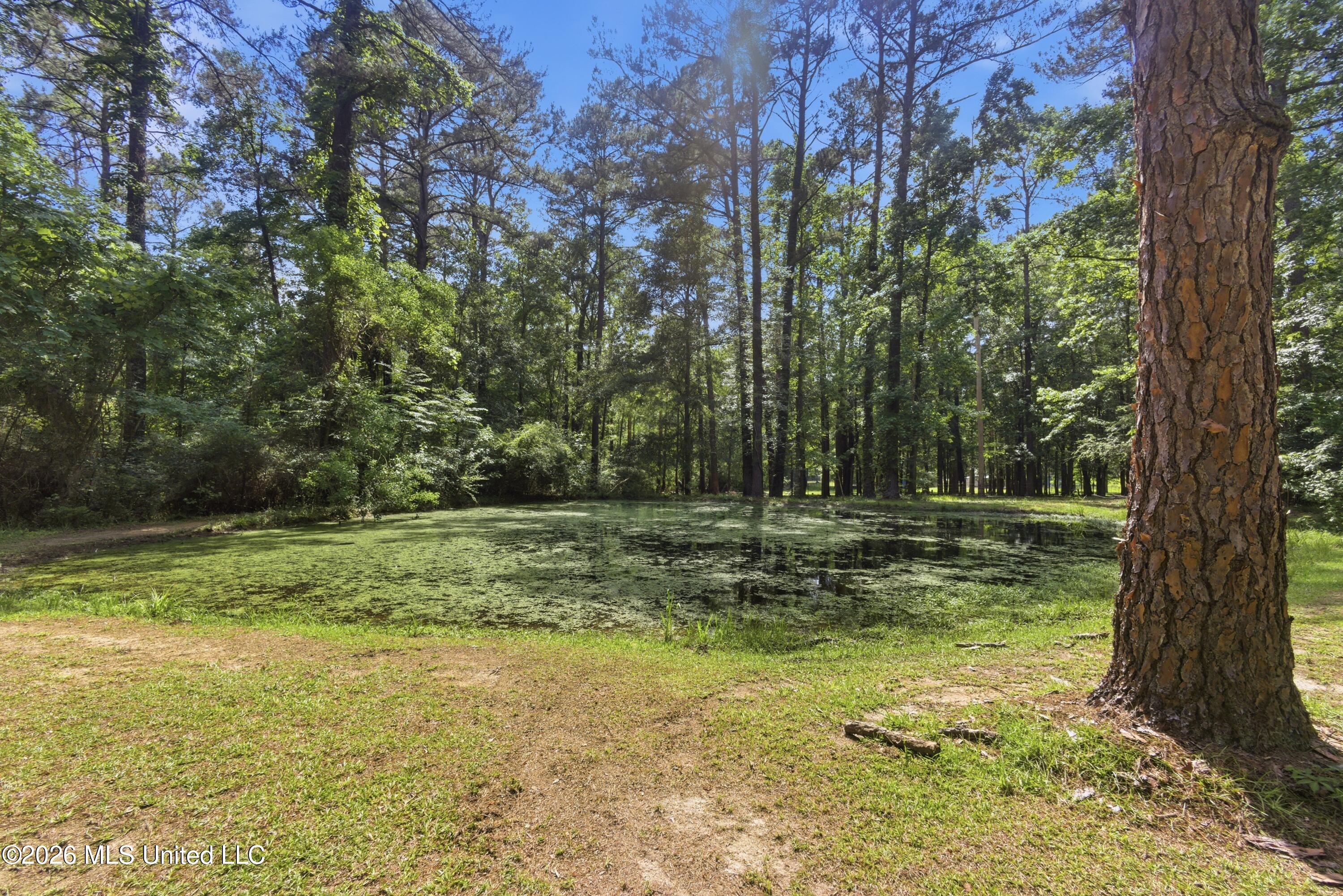 1152 Robb Street, Unit E Summit, MS 39666 - Photo 33 of 42 28_903a2744