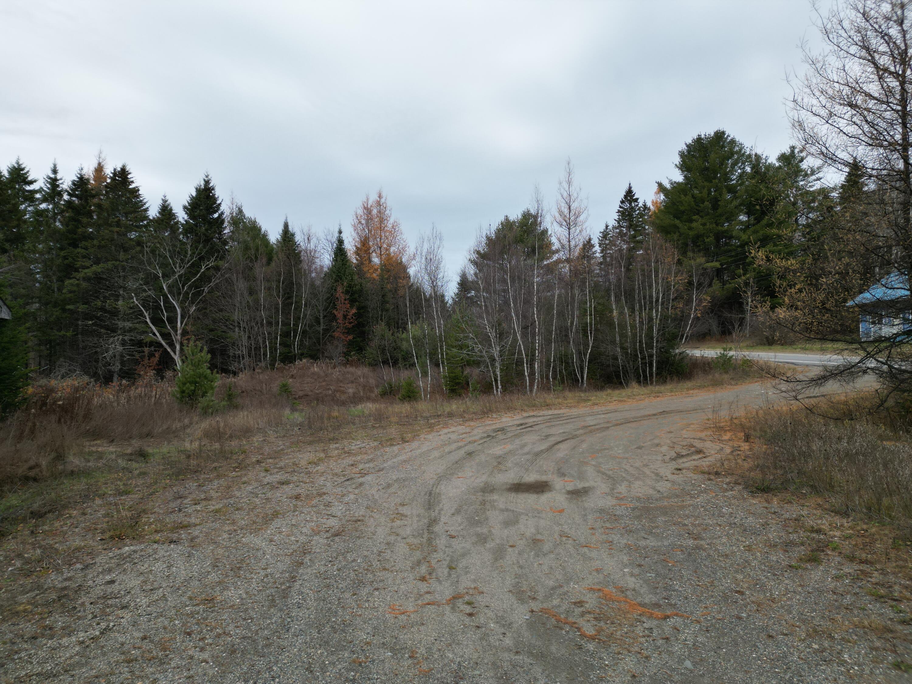 1562 Park Street Springfield, ME 04487 - Photo 4 of 13