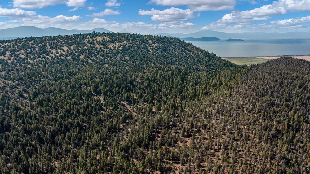 Lot 26 Simpson Canyon Road Klamath Falls, OR 97601 - Photo 28 of 33 SimpsonCanyonLand-30