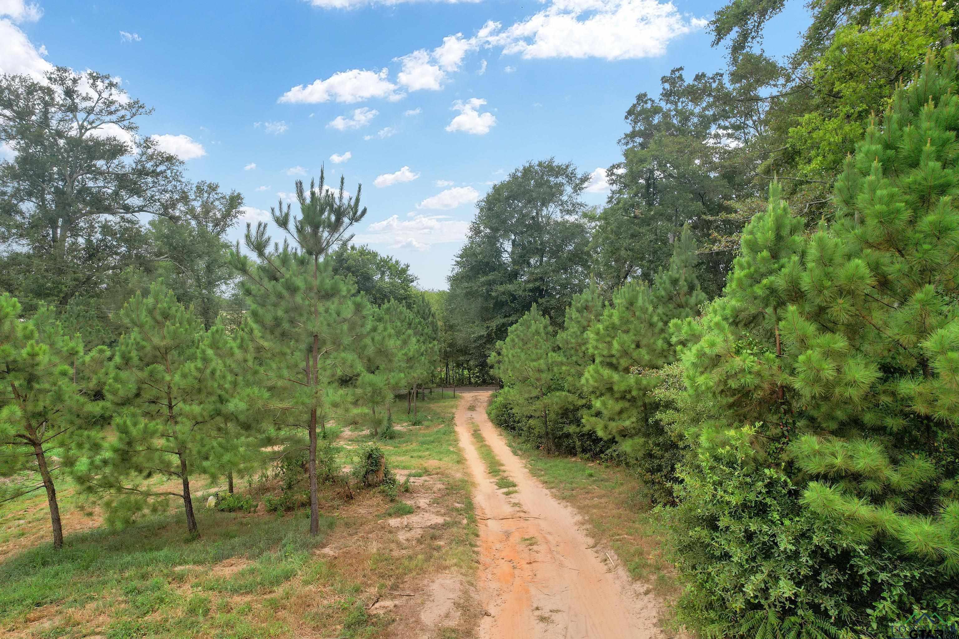 4557 Elderberry Road Gilmer, TX 75644 - Photo 1 of 38