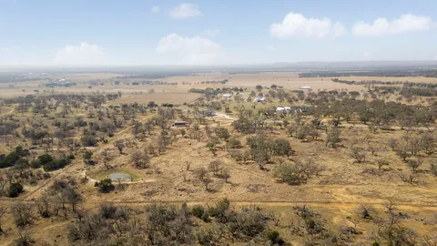 an aerial view of residential building and trees