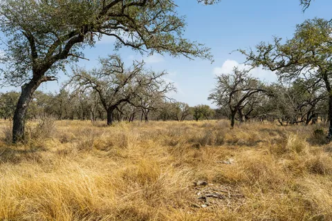 a view of yard covered with snow
