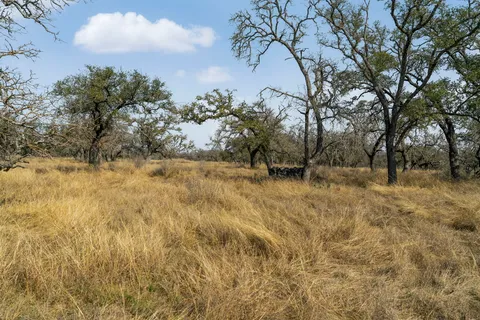 a view of mountain view with of trees