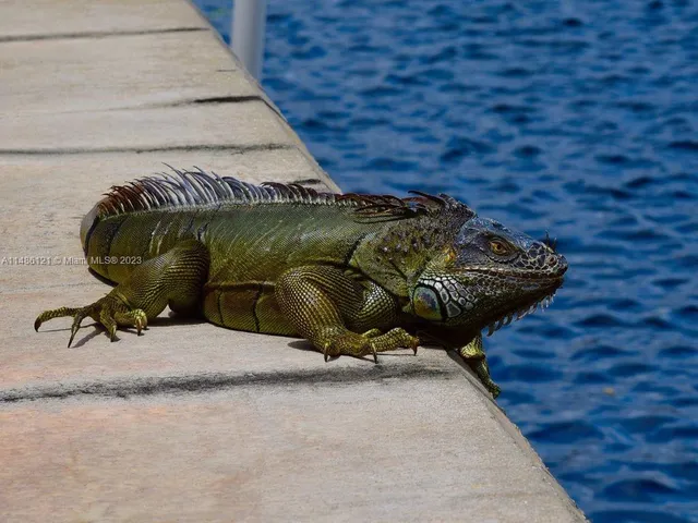 $2,750 | 500 North Francisco Street, Unit 234, Clewiston, FL 33440