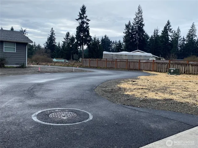a view of empty space with large trees