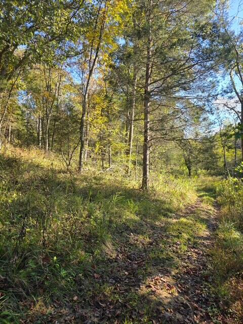 408 Mattox Road Falmouth, KY 41040 - Photo 11 of 28