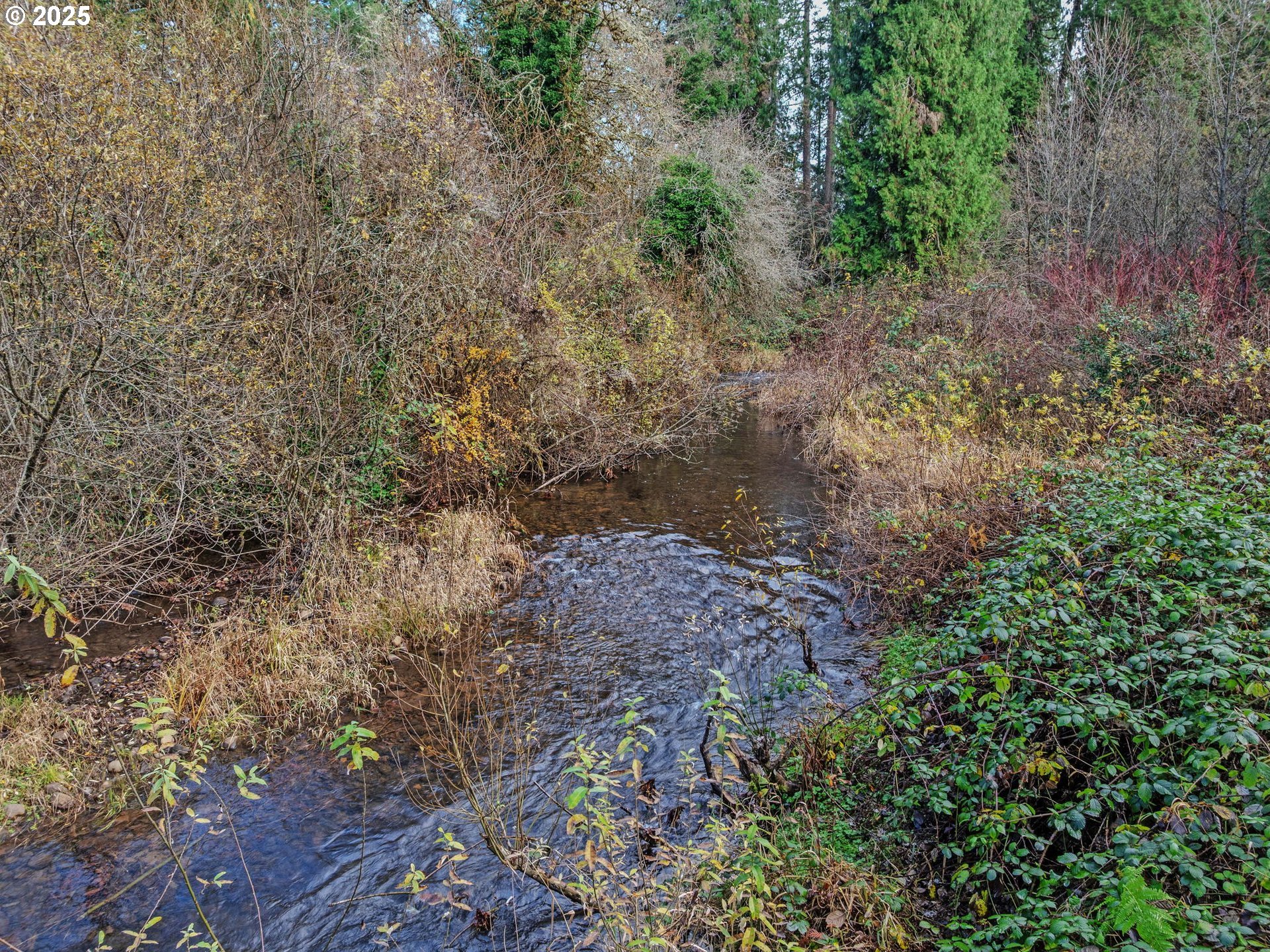 Coalman Road Sandy, OR 97055 - Photo 11 of 23