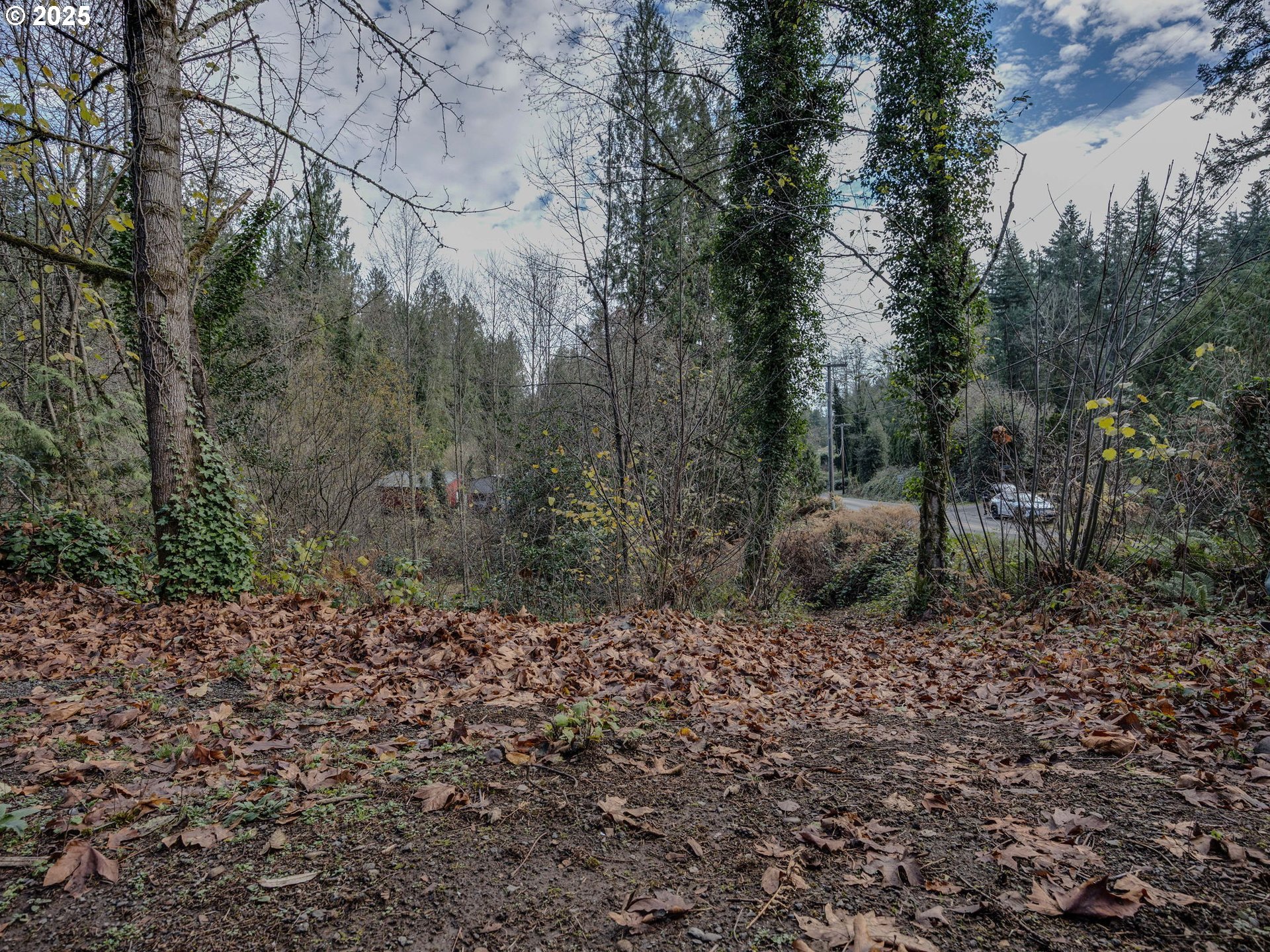 Coalman Road Sandy, OR 97055 - Photo 12 of 23 a view of a outdoor space