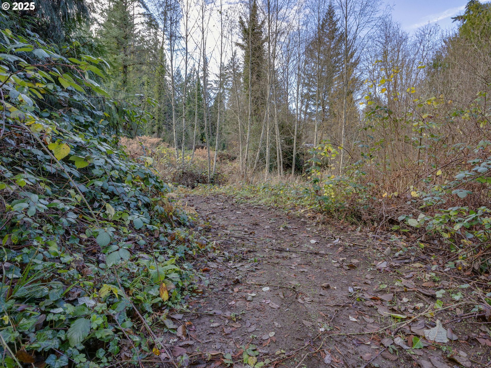 Coalman Road Sandy, OR 97055 - Photo 14 of 23 a view of outdoor space and green space