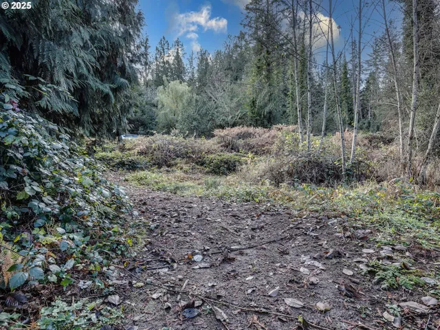 a view of a yard with plants and trees