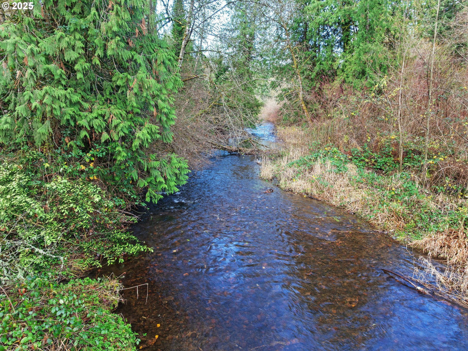 Coalman Road Sandy, OR 97055 - Photo 17 of 23 a view of a yard with plants and trees