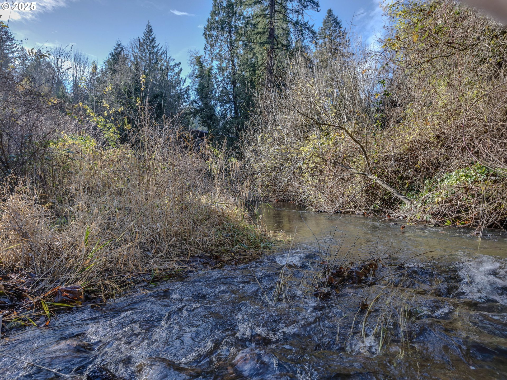 Coalman Road Sandy, OR 97055 - Photo 2 of 23 a view of a lake with lots of trees