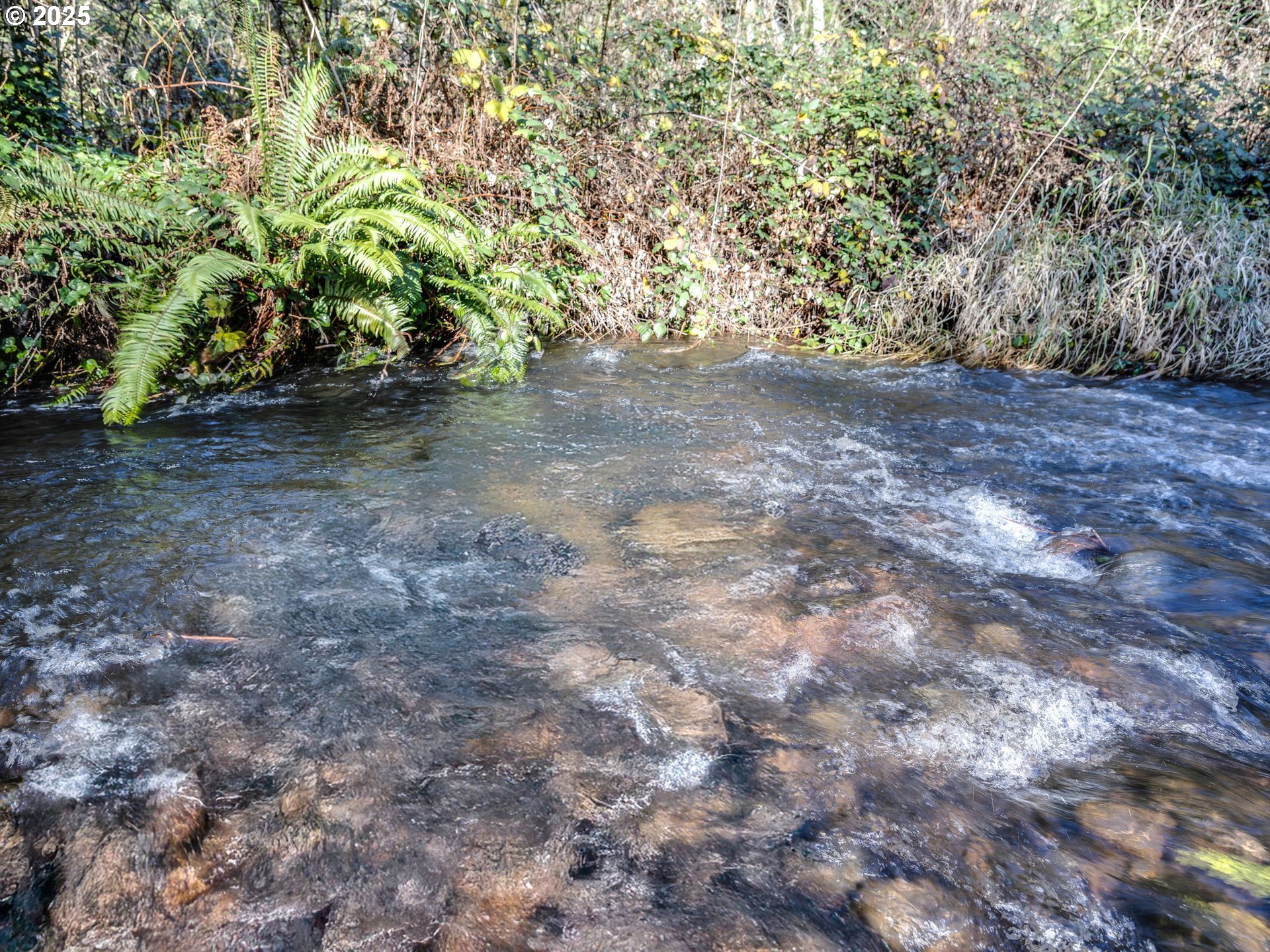 Coalman Road Sandy, OR 97055 - Photo 3 of 23 a view of a yard with a tree