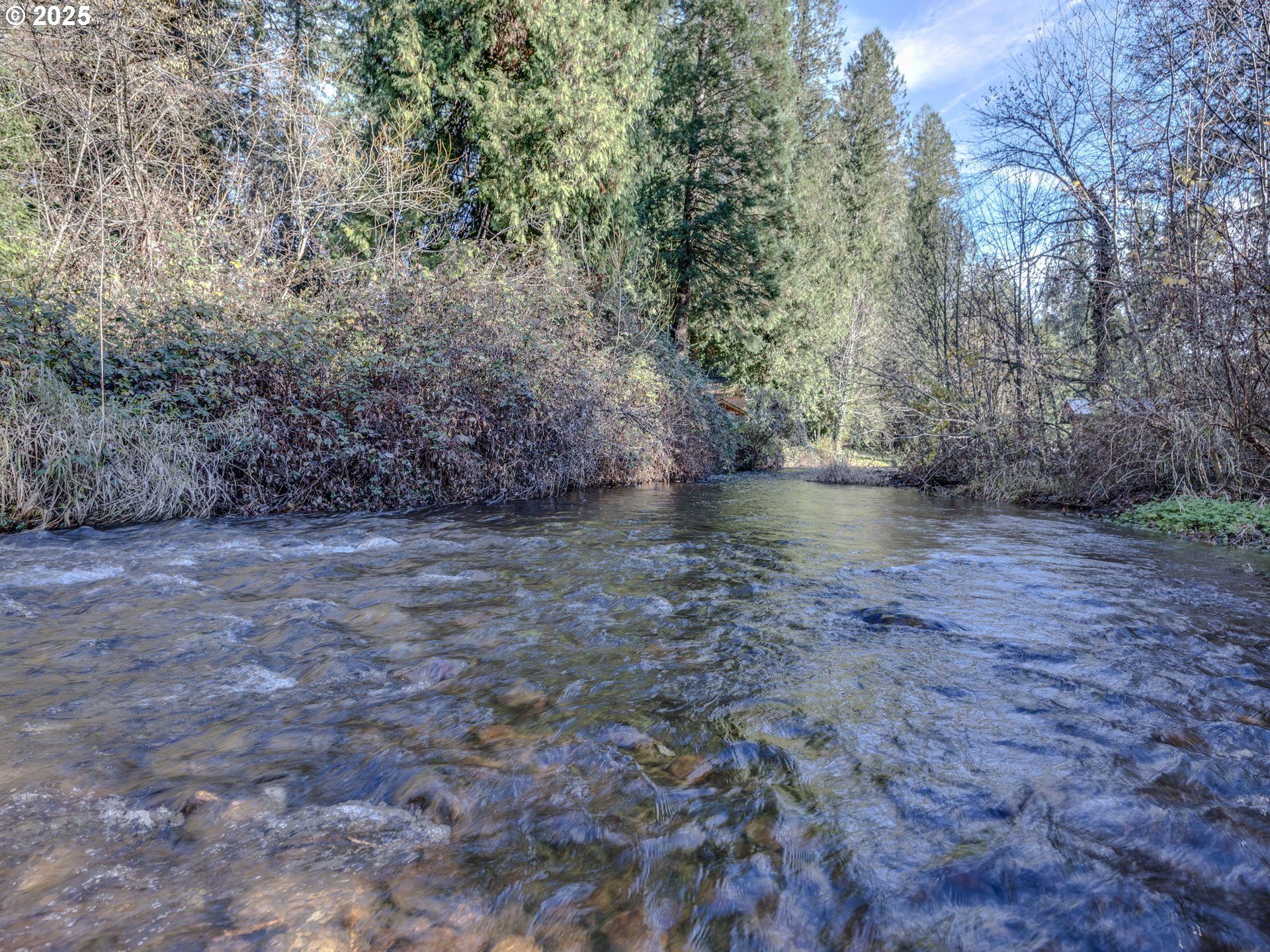 Coalman Road Sandy, OR 97055 - Photo 5 of 23 a view of a dry yard with trees