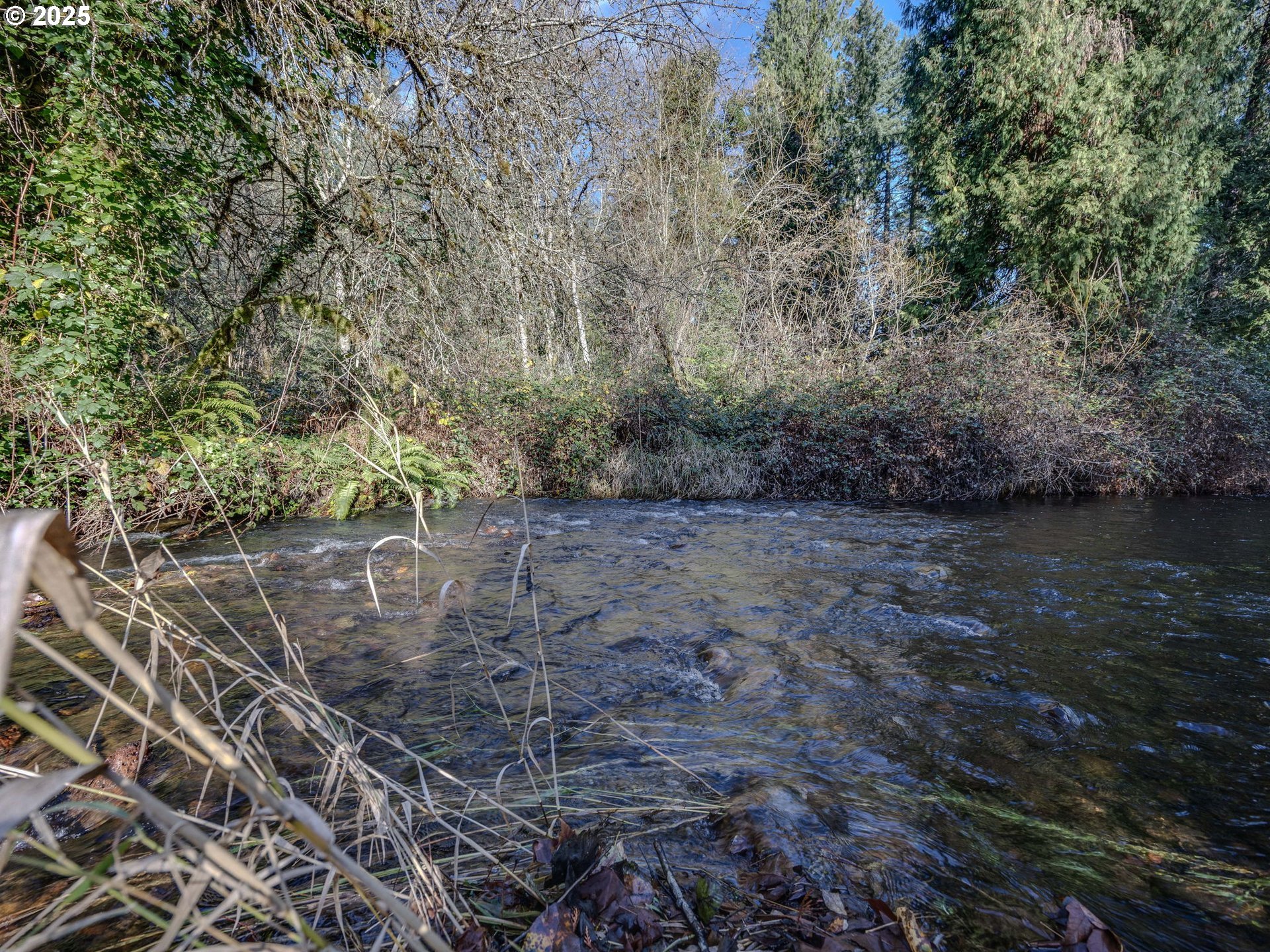 Coalman Road Sandy, OR 97055 - Photo 6 of 23 a view of a yard with plants and large trees