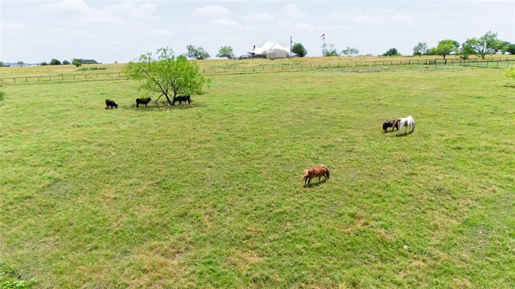 5559 County Road 4010 Decatur, TX 76234 - Photo 22 of 40
