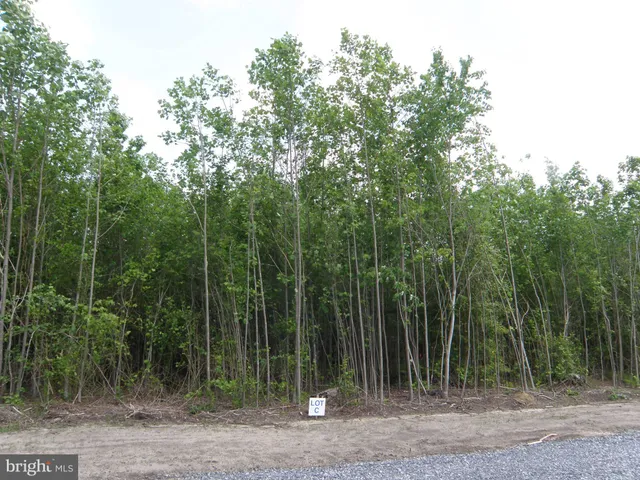 $298,900 | Lot C Lot C - 133-9.00-9.18 Easement Off Of Shortly Road, Georgetown, DE 19947