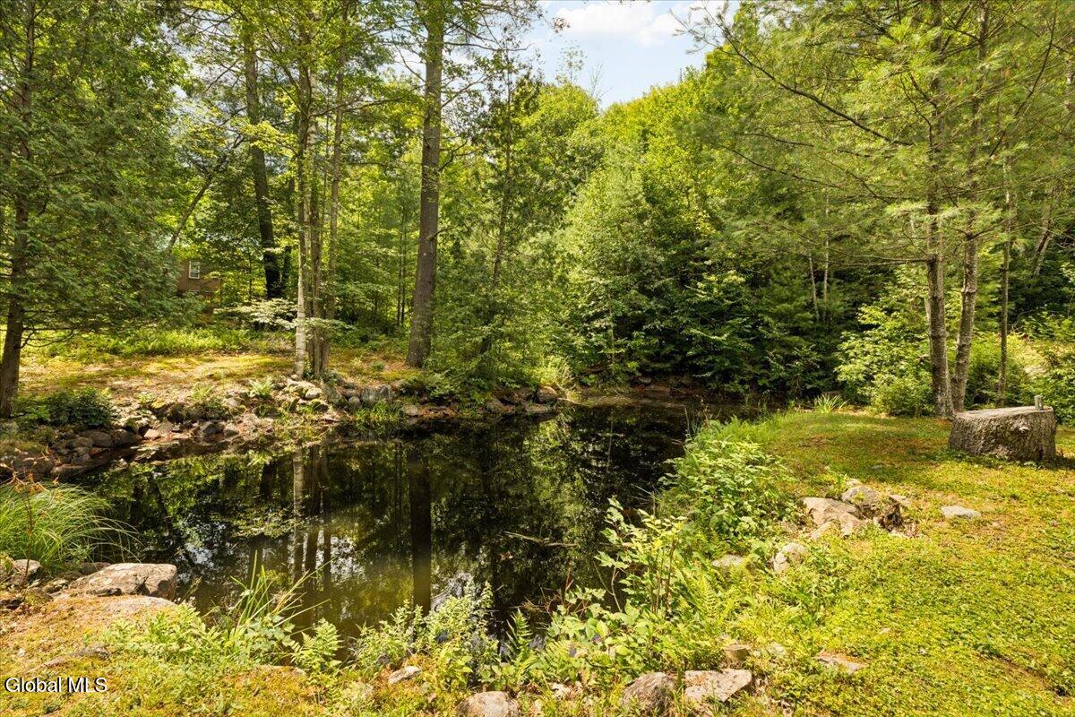 175 John Brannon Road Minerva, NY 12851 - Photo 43 of 51 42-376JohnBrannon-42