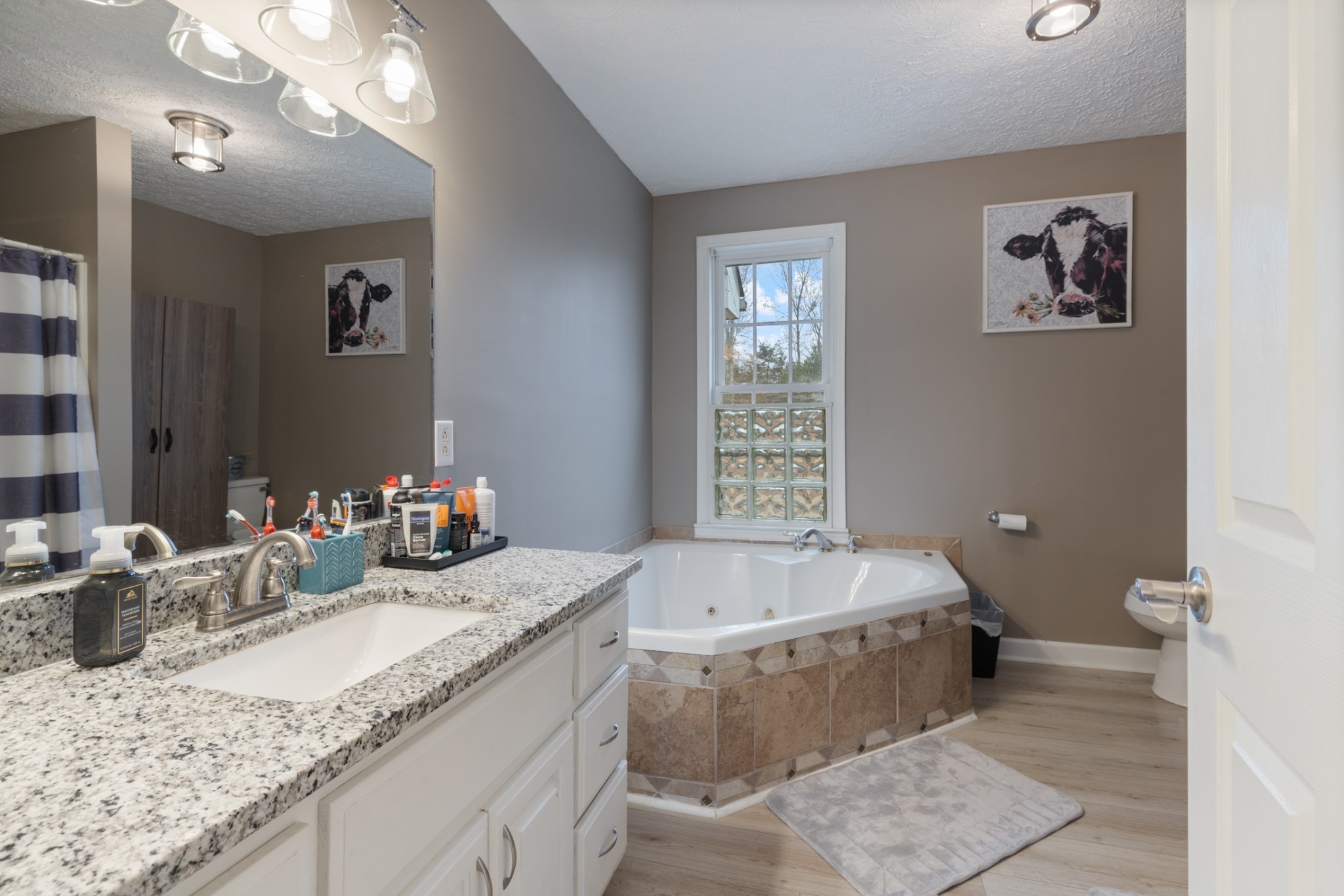 2323 Nubbin Ridge Road Dickson, TN 37055 - Photo 28 of 51 a bath room with a sink and a mirror