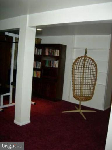 9137 Centerway Road Gaithersburg, MD 20879 - Photo 12 of 28 Basement #2