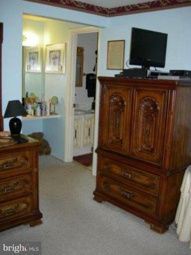 9137 Centerway Road Gaithersburg, MD 20879 - Photo 21 of 28 Master Bedroom #3