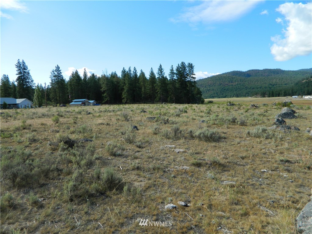 111 Tbd Main Road Tonasket, WA 98855 - Photo 8 of 11 a view of an outdoor space and a yard