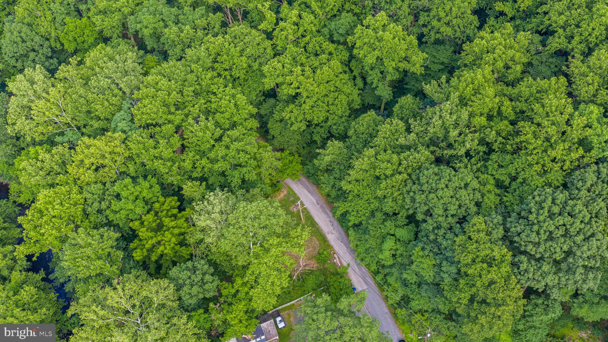 5025 Wetheredsville Road Baltimore, MD 21207 - Photo 53 of 58